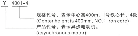 西安泰富西玛Y系列(H355-1000)高压YJTG-315M-10A/55KW三相异步电机型号说明