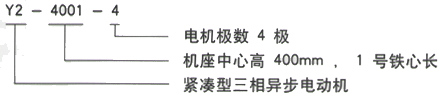 YR系列(H355-1000)高压YJTG-315M-10A/55KW三相异步电机西安西玛电机型号说明